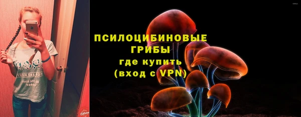 твердый Горнозаводск
