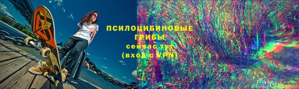 твердый Горнозаводск