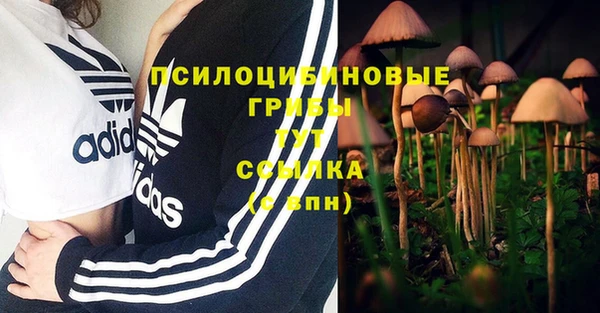 твердый Горнозаводск