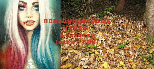 МДМА Горняк