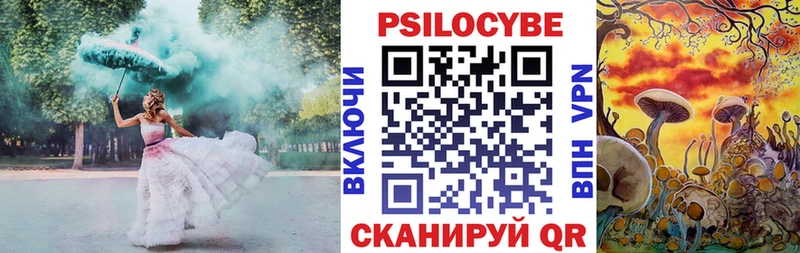 Купить где Бабушкин Галлюциногенные грибы Cubensis